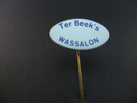 Ter Beek's Wassalon